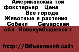 Американский той фокстерьер › Цена ­ 25 000 - Все города Животные и растения » Собаки   . Самарская обл.,Новокуйбышевск г.